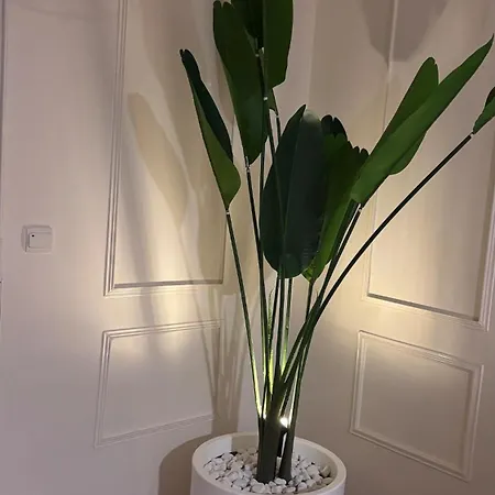 Cozy With Balcony Paris 15min Orly 10min Apartment