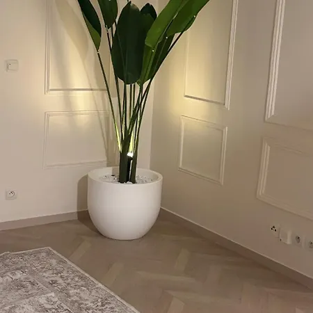Cozy With Balcony Paris 15min Orly 10min * Limeil-Brevannes
