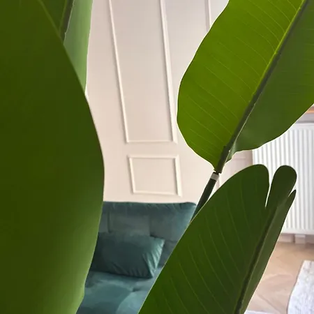 Cozy With Balcony Paris 15min Orly 10min
